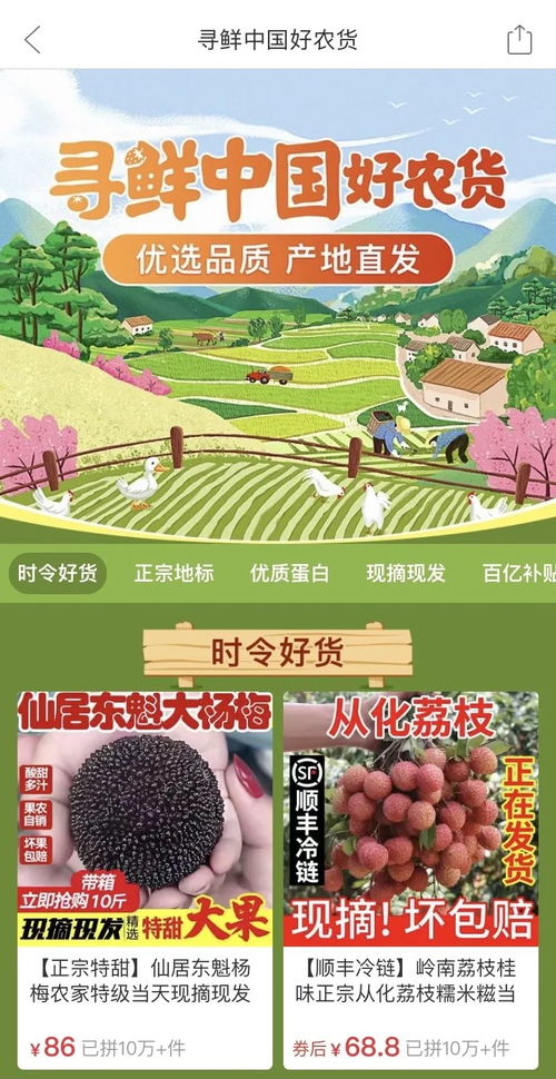 楊梅60元一顆出口迪拜背后 農(nóng)業(yè)技術(shù)創(chuàng)新的力量